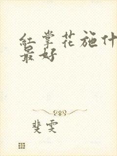 红掌花施什么肥最好