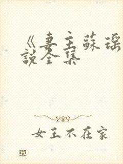 《妻主苏瑶》小说全集