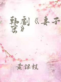 韩剧《妻子的秘密》