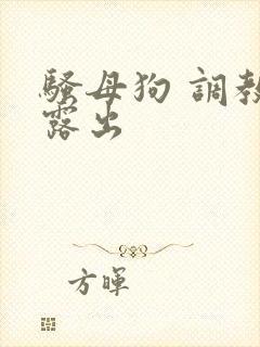 骚母狗 调教 露出