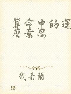 算命中的运是什么意思