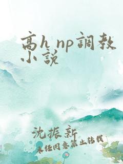 高h np调教小说