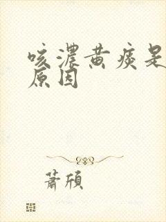 咳浓黄痰是什么原因