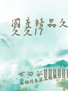 国产精品久久久久久17