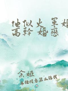 他似火 军婚 高干 婚恋