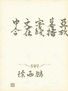 中文字幕亚洲综合在线播放