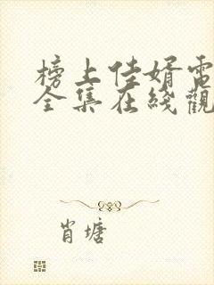 榜上佳婿电视剧全集在线观看免费