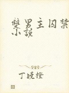 双男主囚禁调教小说