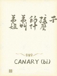 弟弟的孩子管姐姐叫什么