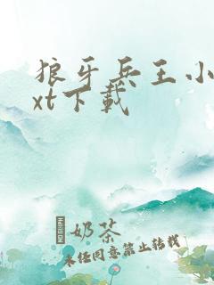 狼牙兵王小说txt下载