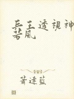兵王透视神医林若风