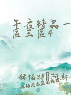 午夜精品一区二区三区4