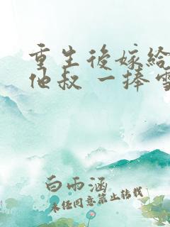 重生后嫁给男主他叔 一捧雪