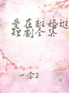 爱在离婚进行时短剧全集