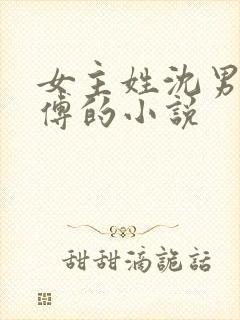 女主姓沈男主姓傅的小说