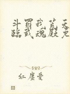 斗罗我荒天帝降临武魂殿免费阅读