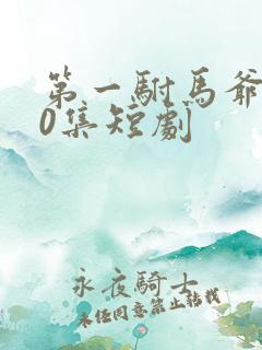第一驸马爷100集短剧