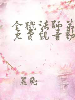 全职法师第六季免费观看动漫