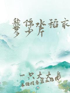 盘锦水稻亩产量多少斤