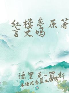 红楼梦原著是文言文吗