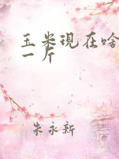 玉米现在啥价钱一斤