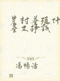 农村养殖什么好养又挣钱
