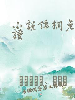 小说锦桐免费阅读