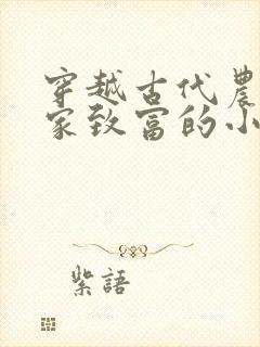穿越古代农村发家致富的小说