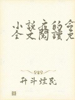小说夜的命名术全文阅读免费