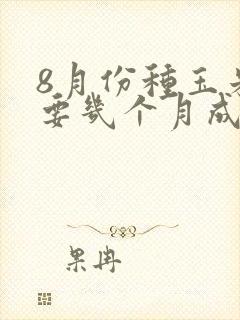 8月份种玉米需要几个月成熟