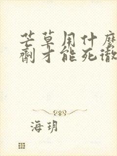 芒草用什么除草剂才能死彻底