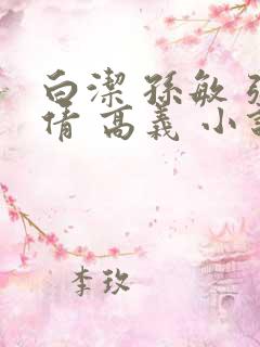 白洁 孙敏 张倩 高义 小说