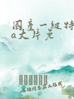 国产一级特黄aa大片免