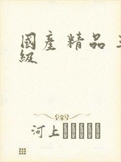 国产 精品 三级