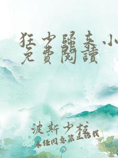 狂少归来小说的免费阅读
