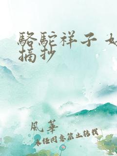 骆驼祥子 好句摘抄