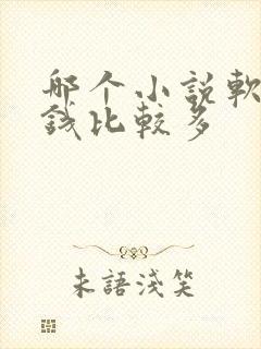 哪个小说软件赚钱比较多