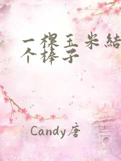 一棵玉米结五六个棒子
