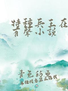特种兵王在山村有声小说