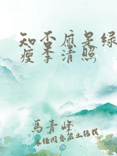 知否应是绿肥红瘦李清照