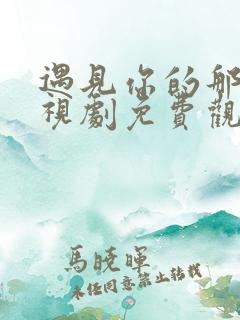 遇见你的那天电视剧免费观看完整版