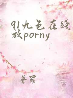 91九色在线播放porny