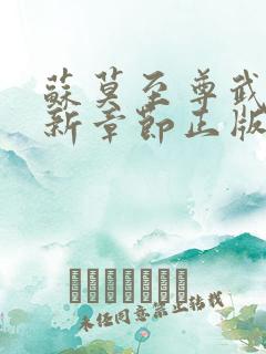 苏莫至尊武魂最新章节正版阅读