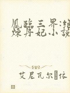 凤临三界:绝色炼丹妃小说