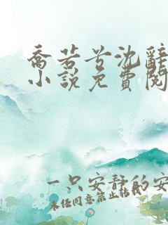 乔若兮沈辞安的小说免费阅读