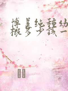 博美纯种幼崽大概多少钱一只
