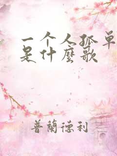 一个人孤单歌词是什么歌