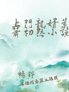 上门龙婿叶辰,萧初然小说阅读