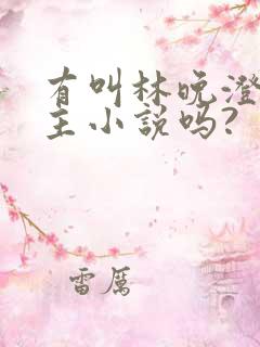 有叫林晚澄的女主小说吗?