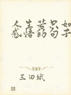 人生若只如初见感悟的句子
